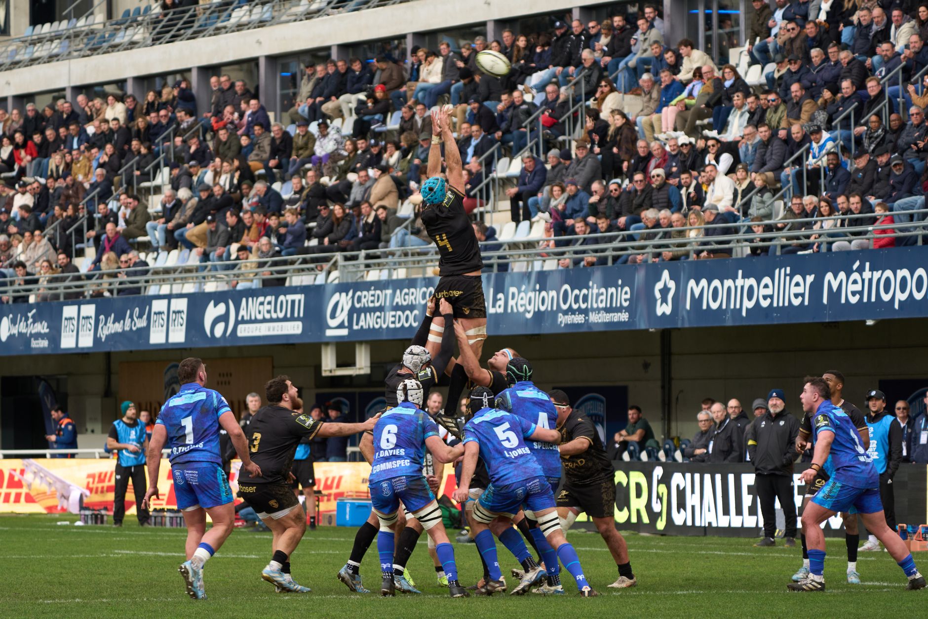 Rugby World Cup law changes